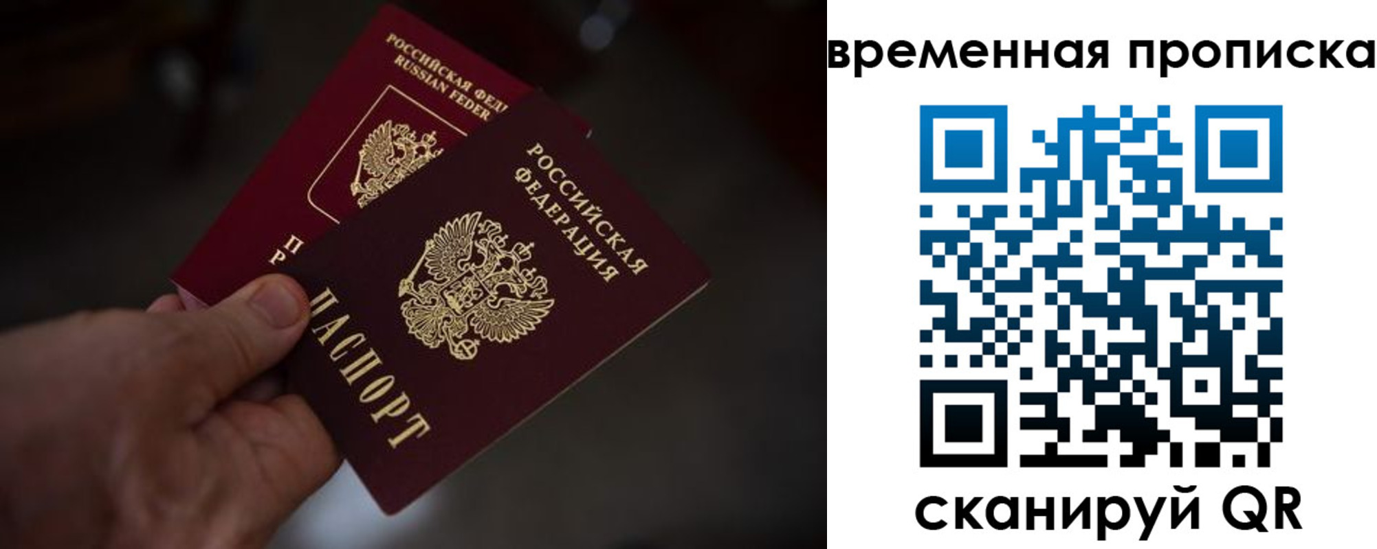прописка в Кораблино